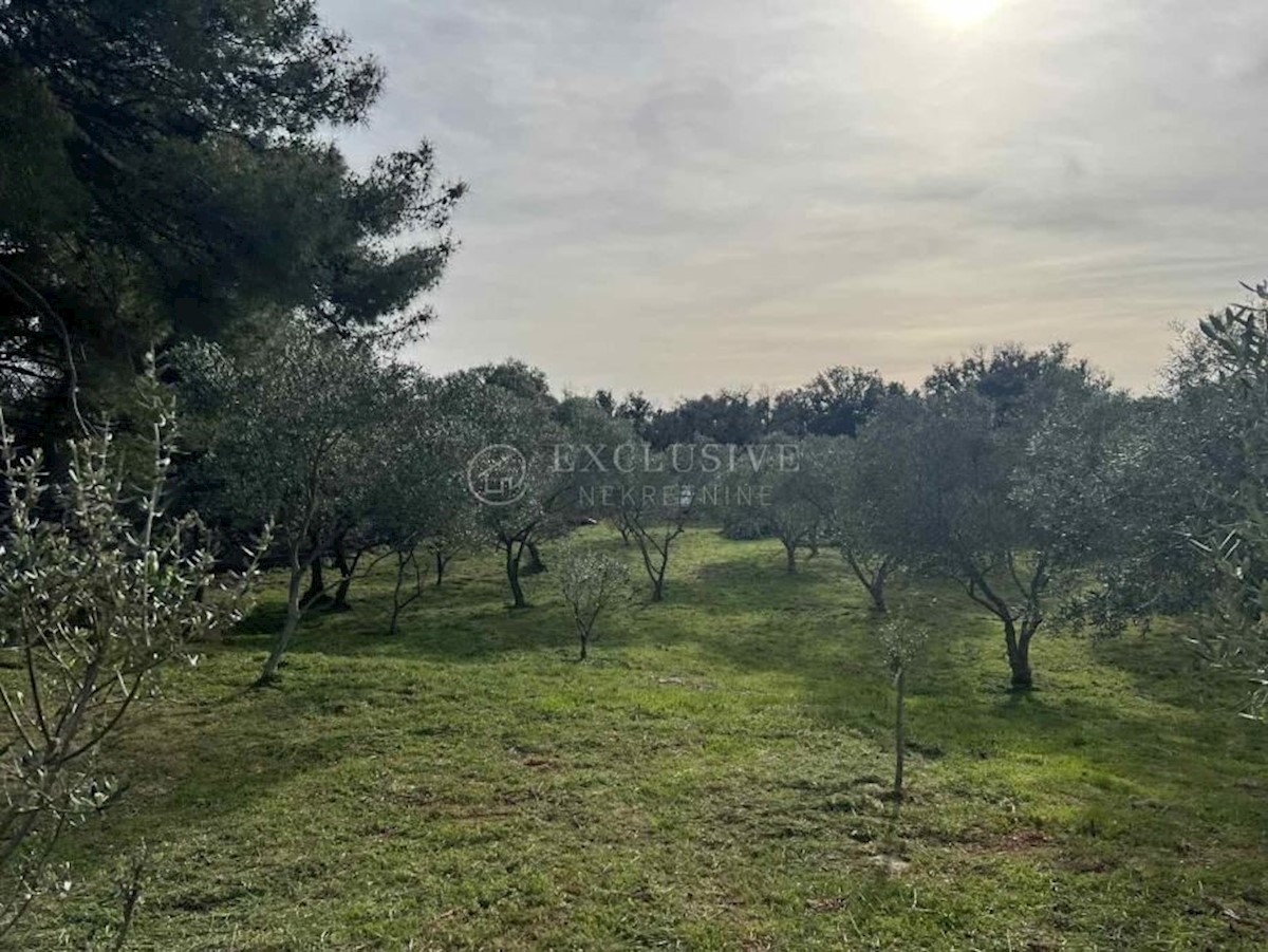 Land For sale - PRIMORSKO-GORANSKA MALI LOŠINJ