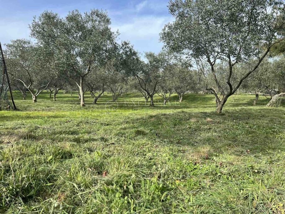 Terreno In vendita - PRIMORSKO-GORANSKA MALI LOŠINJ