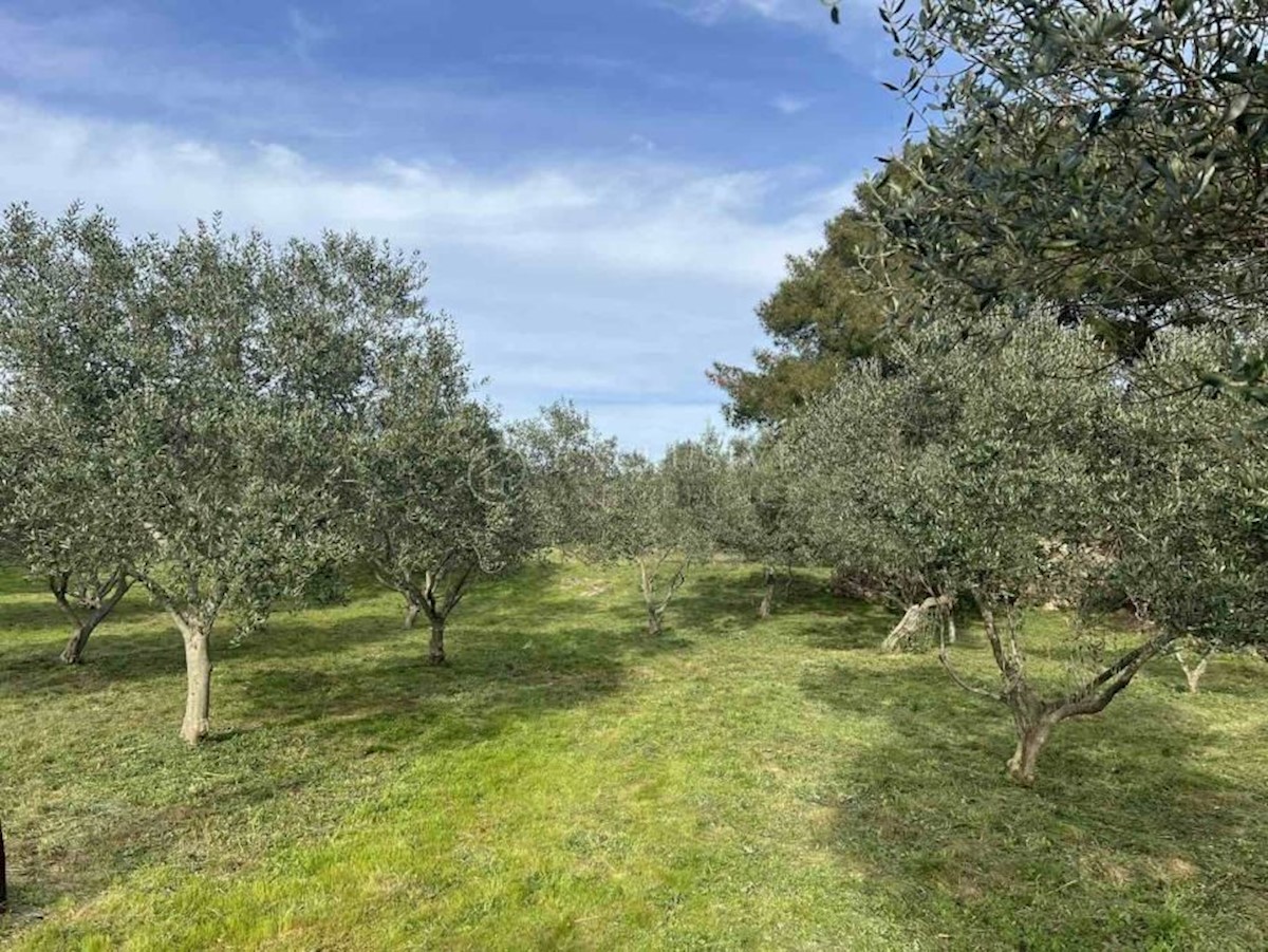 Terreno In vendita - PRIMORSKO-GORANSKA MALI LOŠINJ