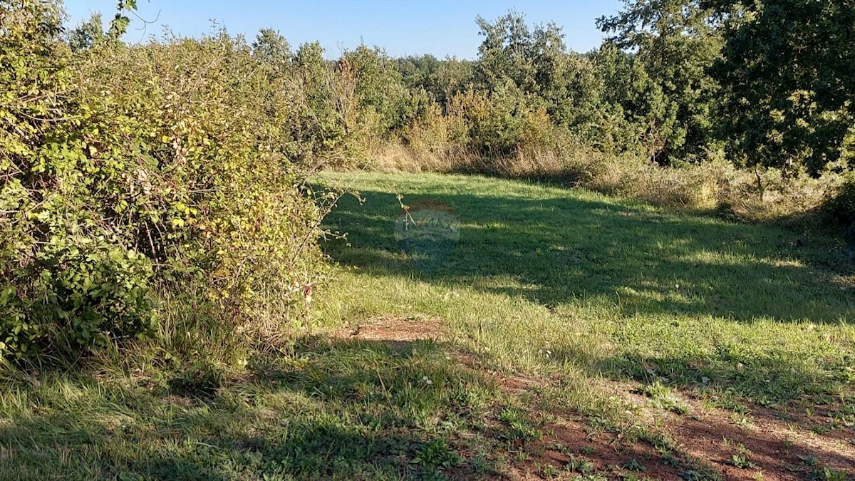 Casa In vendita - ISTARSKA GRAČIŠĆE