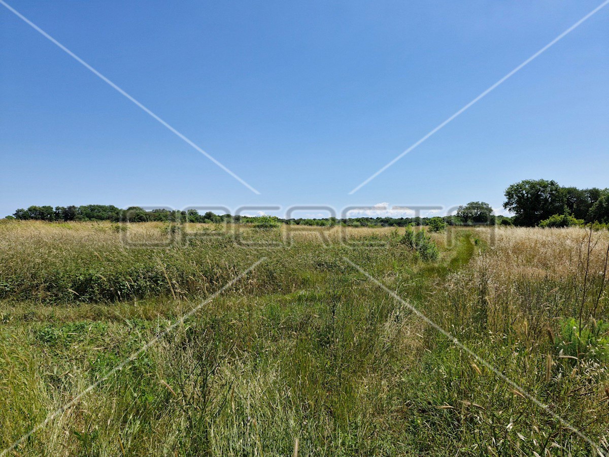 Terreno In vendita - ISTARSKA LIŽNJAN