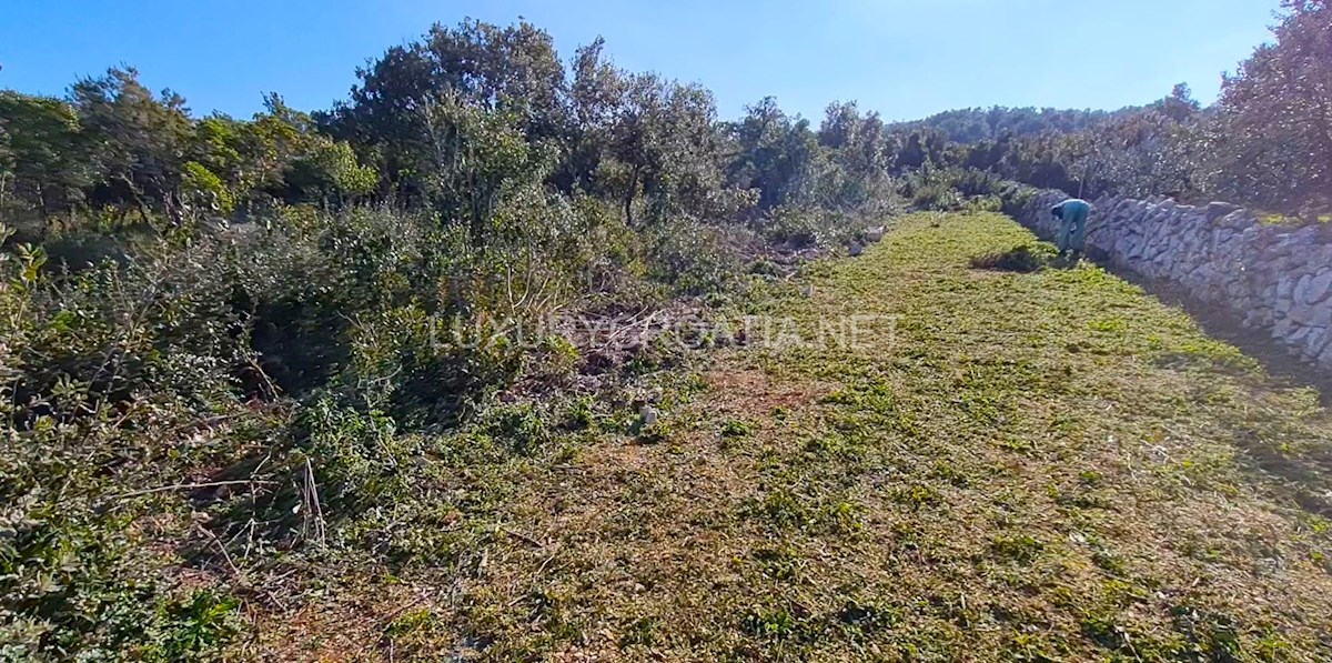 Land For sale - SPLITSKO-DALMATINSKA ŠOLTA