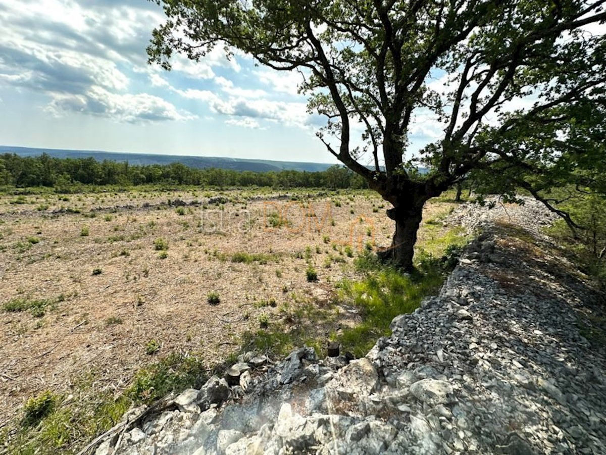 Land For sale - ISTARSKA RAŠA