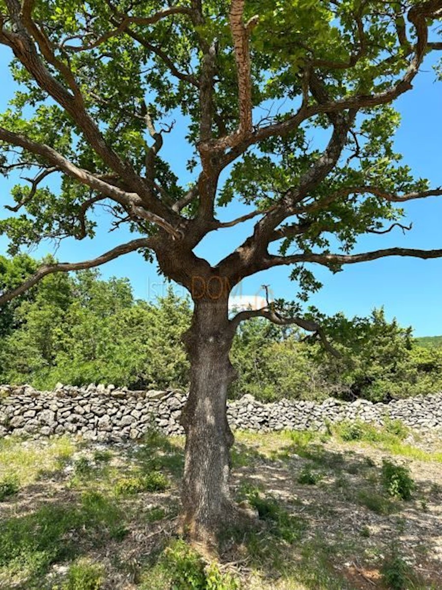 Pozemek Na prodej - ISTARSKA RAŠA