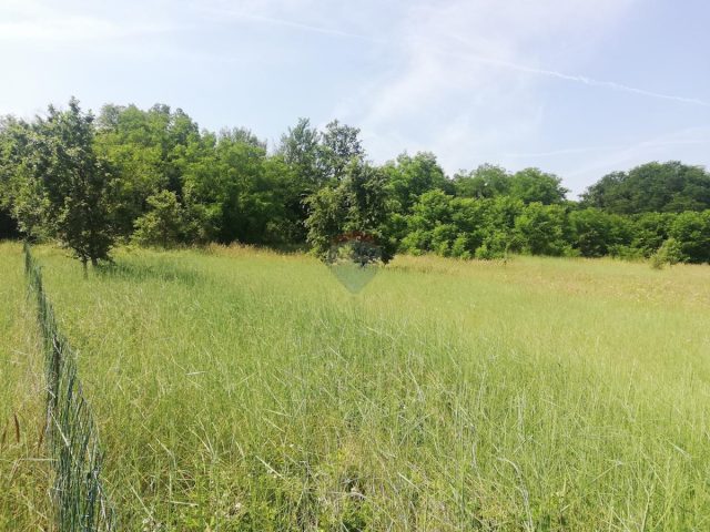 Terreno in vendita 4527 m² – Baderna