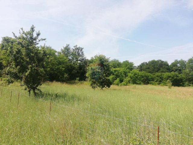 Terrain À vendre - Istarska Poreč - foto 2/5