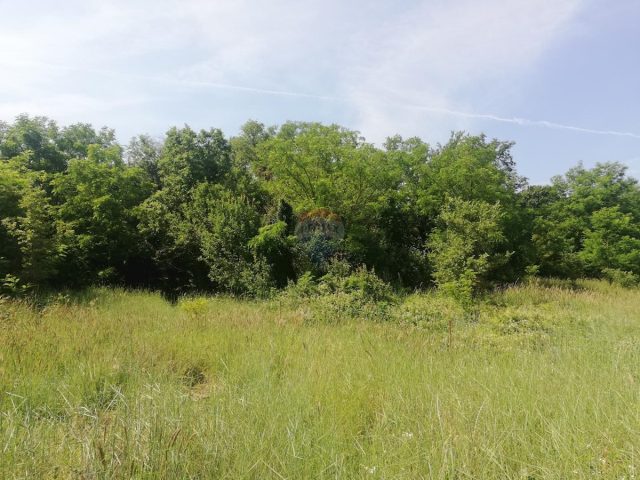 Terrain À vendre - Istarska Poreč - foto 3/5