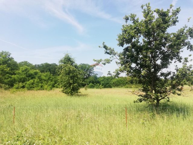 Terrain À vendre - Istarska Poreč - foto 4/5