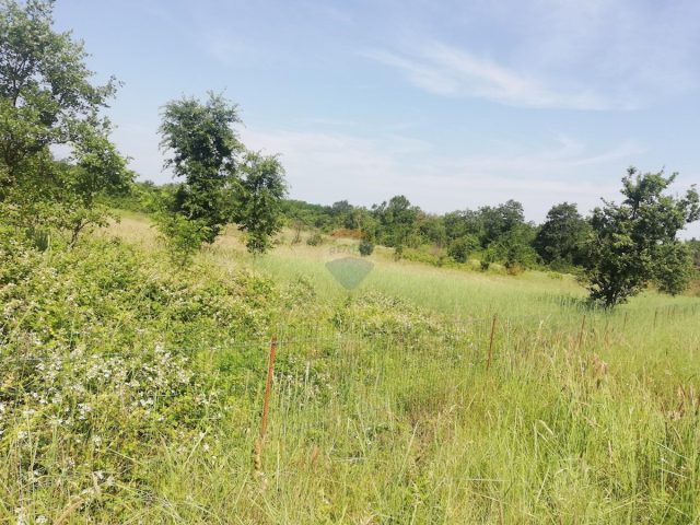 Terrain À vendre - Istarska Poreč - foto 5/5