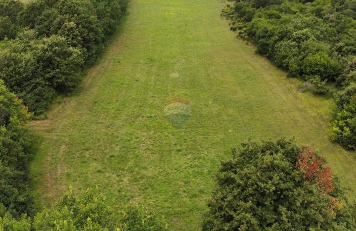 Pozemok na predaj 8400 m² – Bale