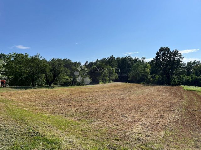 Pozemek na prodej 2297 m² – Pazin