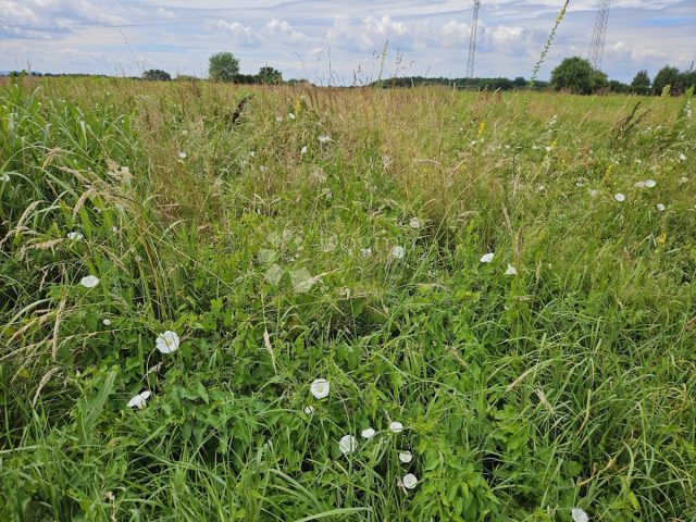 Parcela Naprodaj - Varaždinska Varaždin - foto 2/10