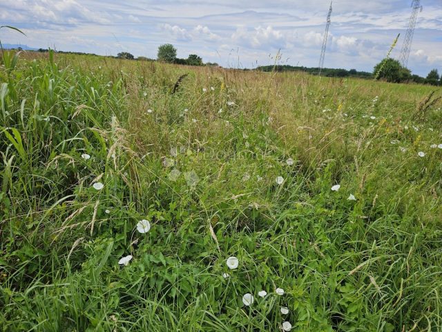 Parcela Naprodaj - Varaždinska Varaždin - foto 4/10