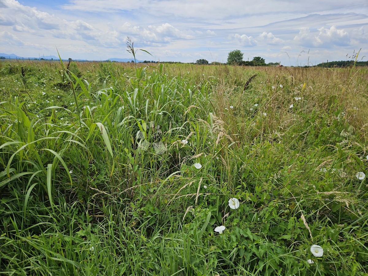 Terrain À vendre - VARAŽDINSKA VARAŽDIN