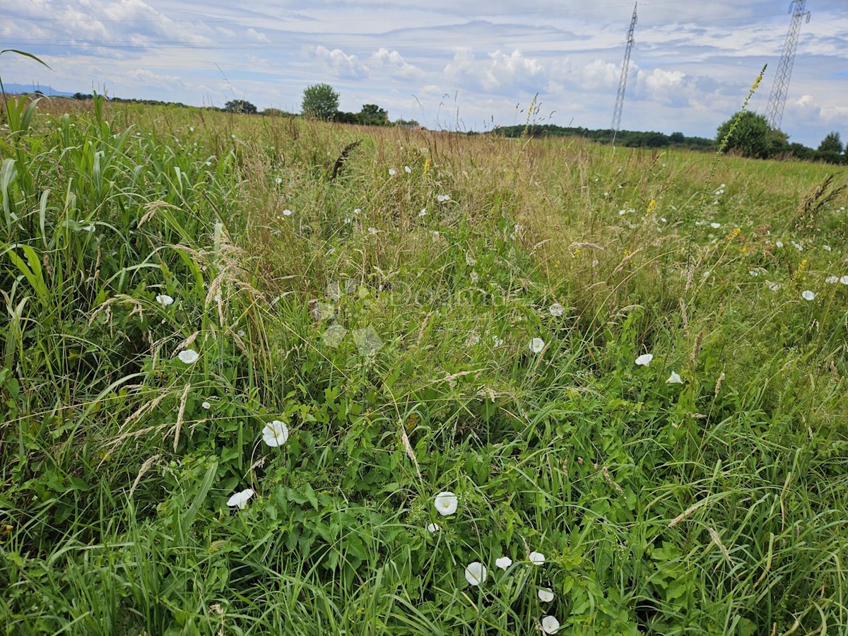 Terrain À vendre - VARAŽDINSKA VARAŽDIN