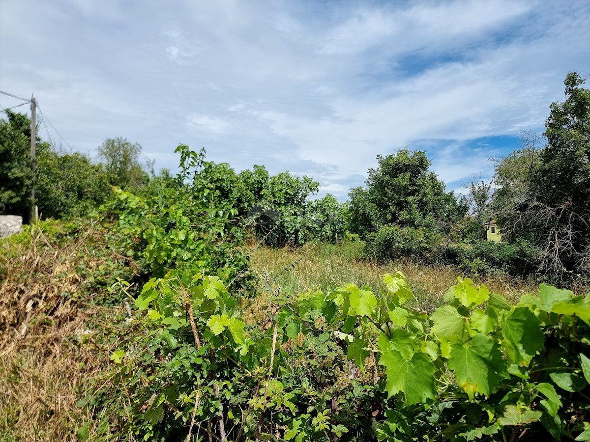 Pozemok Na predaj - ISTARSKA LABIN