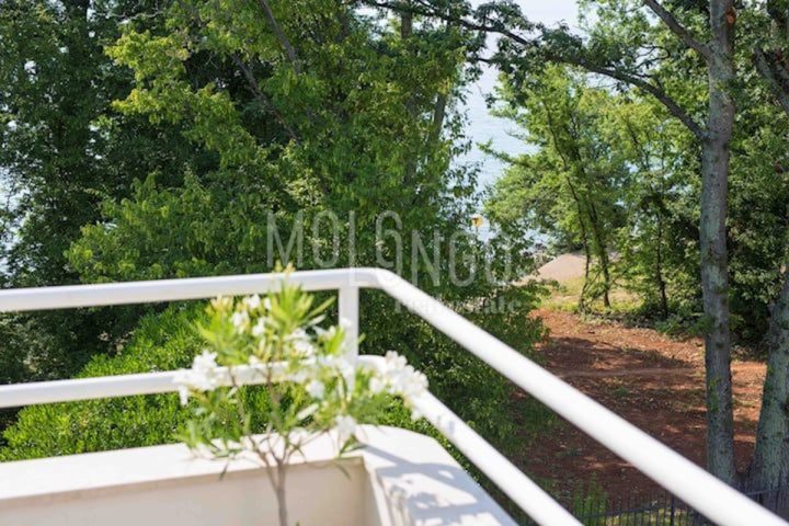 Apartma Naprodaj - Primorsko-goranska Krk - foto 3/28
