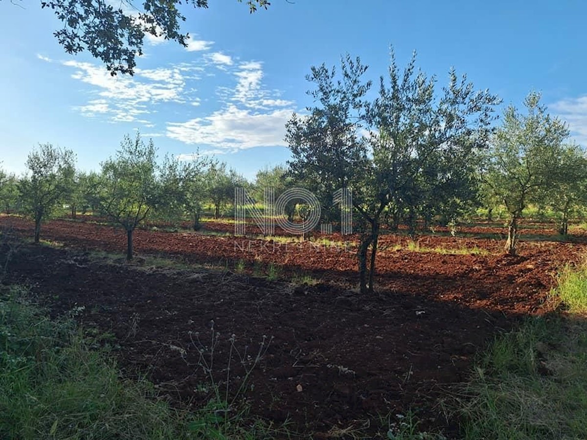 Terreno In vendita