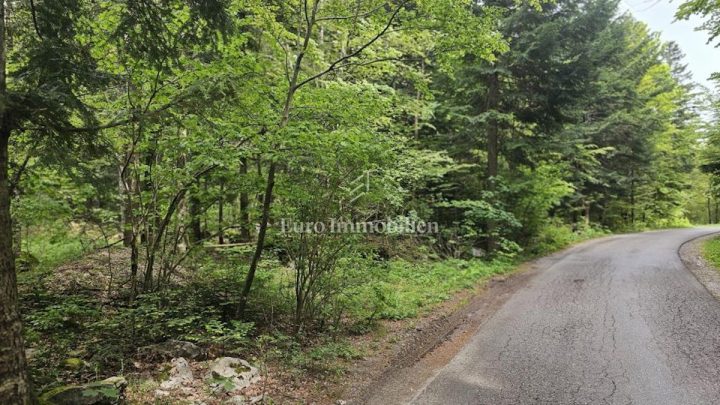 Terreno in vendita 2960 m² – Bribir