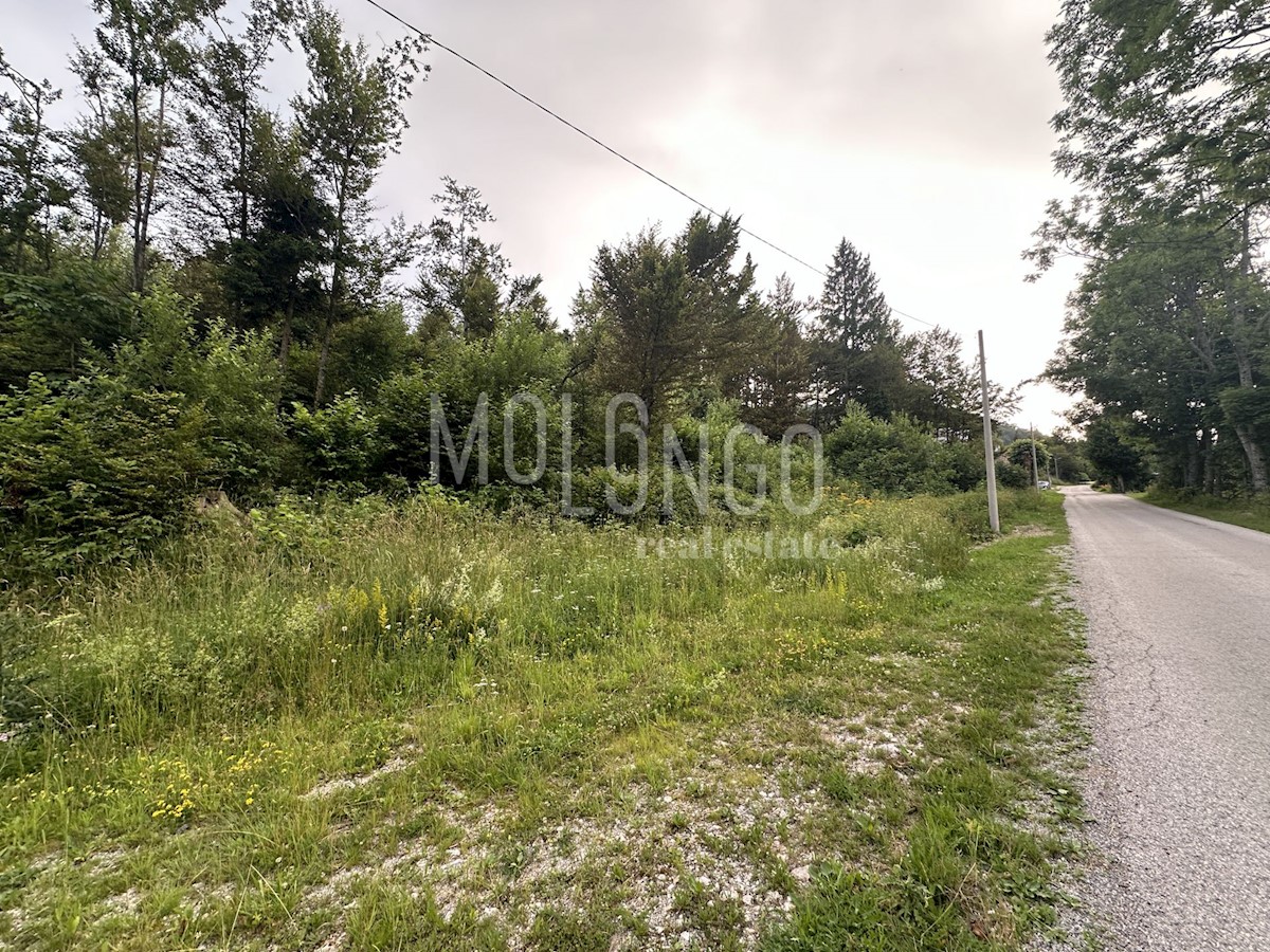 Land For sale - PRIMORSKO-GORANSKA MRKOPALJ