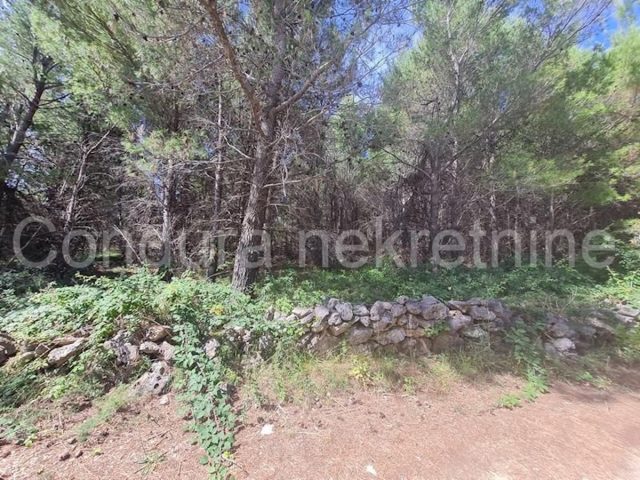 Terrain À vendre - Zadarska Vir - foto 3/4