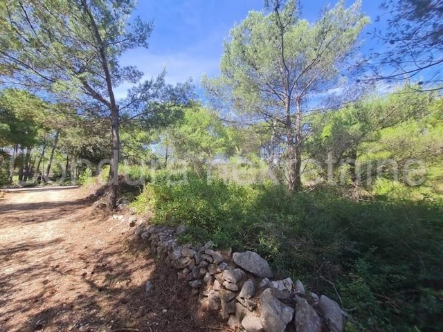 Terrain À vendre - Zadarska Vir - foto 4/4