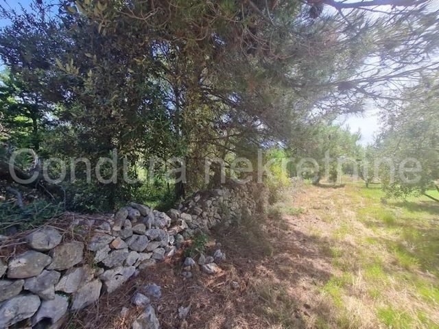 Terrain À vendre - Zadarska Vir - foto 4/4