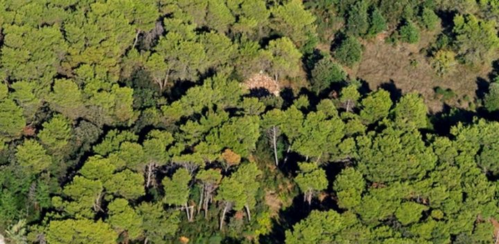 Land for sale 20330 m² – Vodnjan