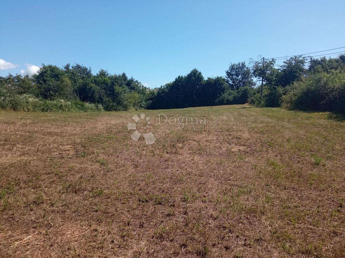 Land For sale - ISTARSKA ŽMINJ