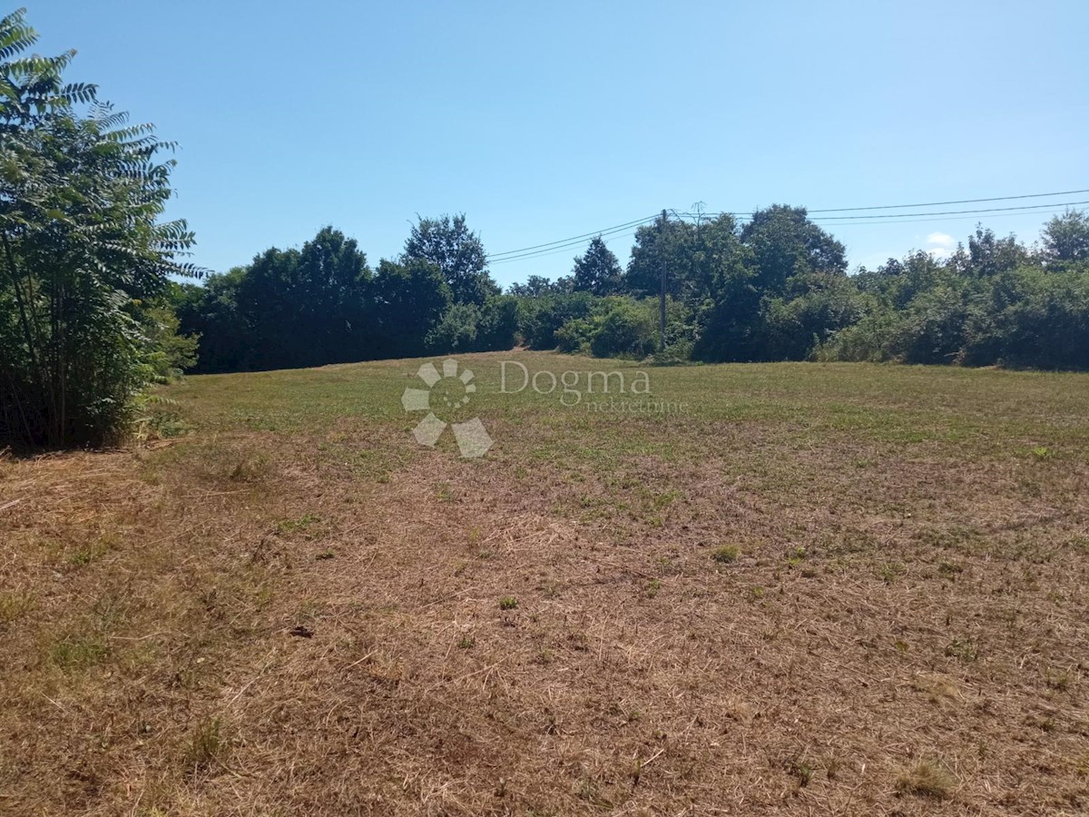 Land For sale - ISTARSKA ŽMINJ