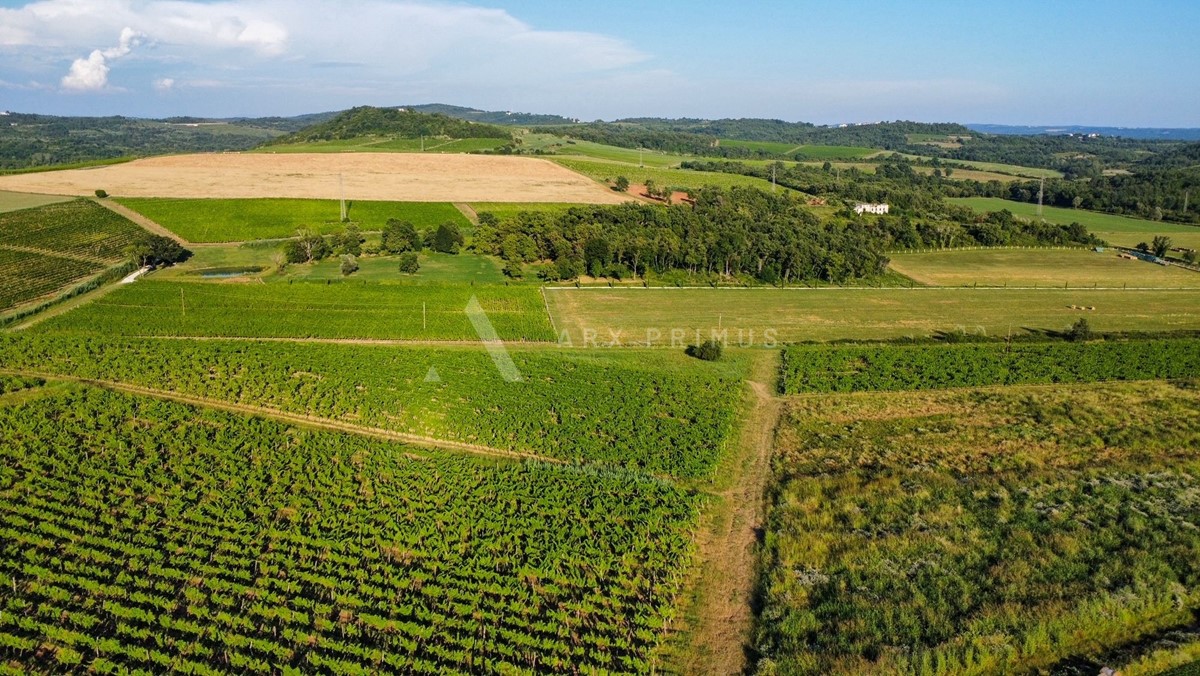 Parcela Naprodaj - ISTARSKA Buje