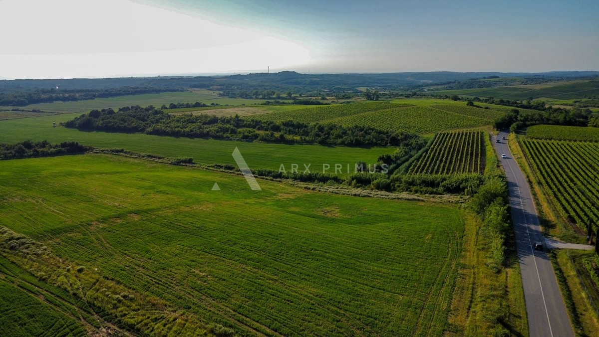 Terreno In vendita - Istarska Buje - foto 2/9