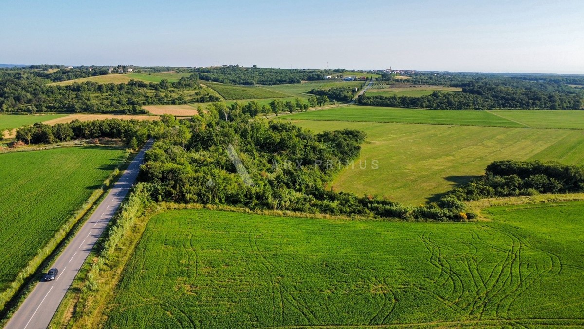 Terreno In vendita - Istarska Buje - foto 3/9