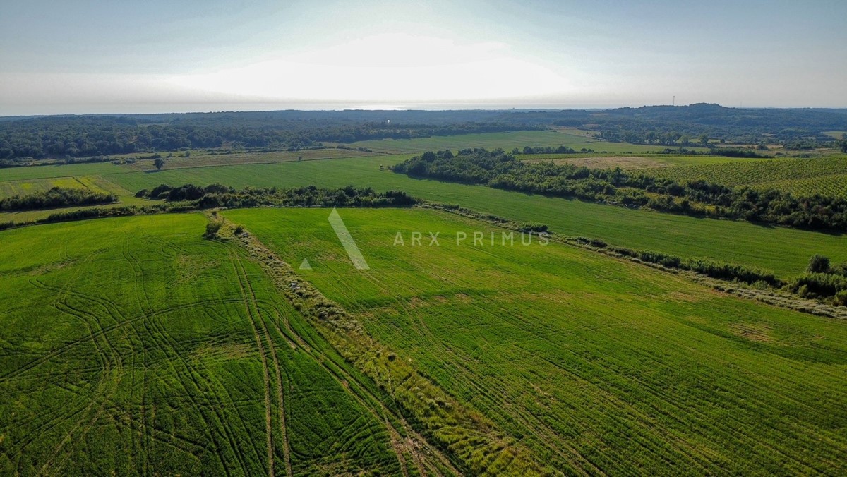Terreno In vendita - Istarska Buje - foto 4/9
