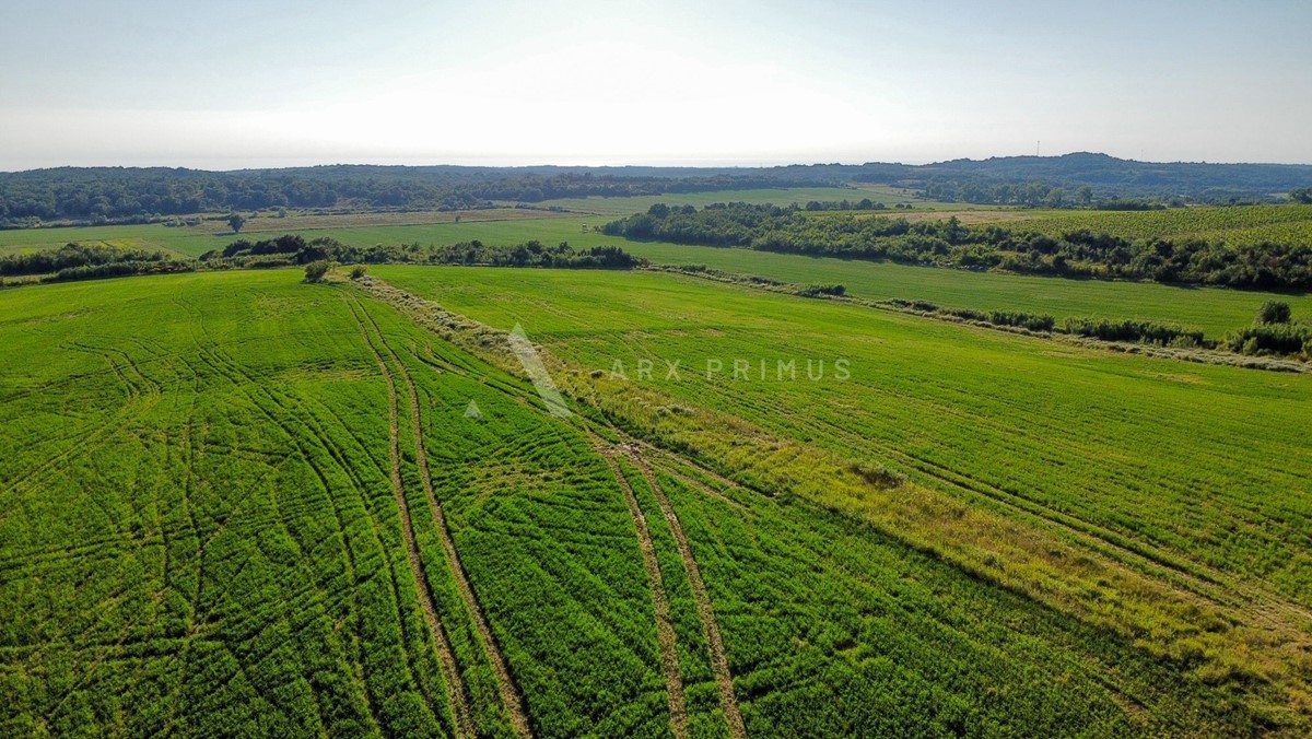 Terreno In vendita - Istarska Buje - foto 5/9