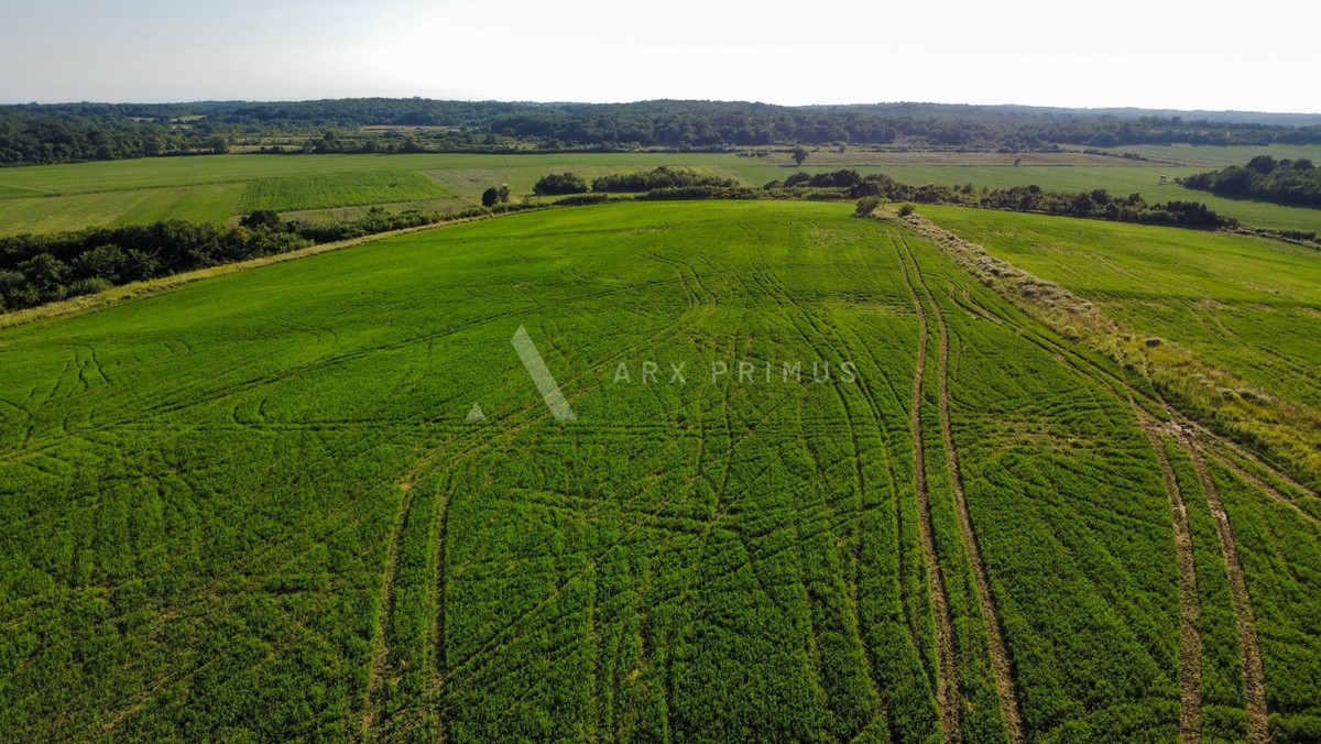 Terreno In vendita - ISTARSKA BUJE