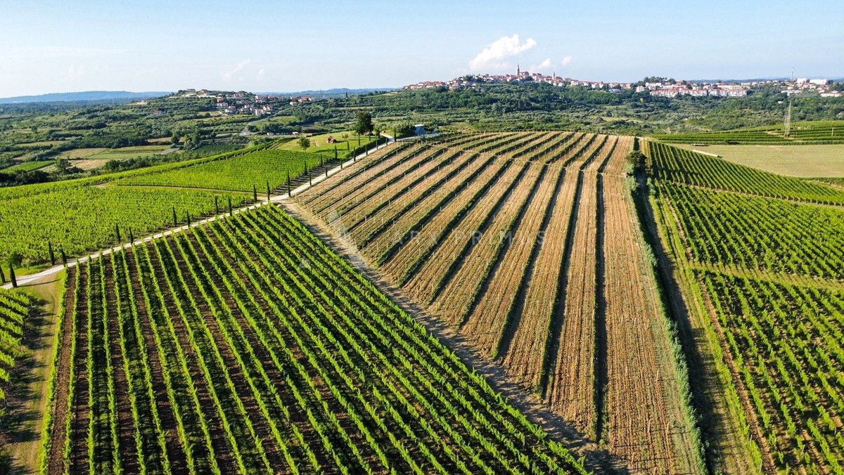 Terreno In vendita - ISTARSKA BUJE