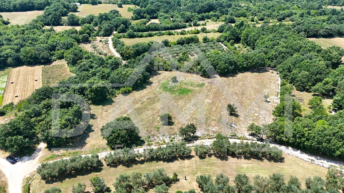 Terrain À vendre - Istarska Kanfanar - foto 3/9