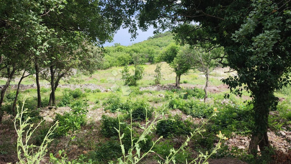 Land For sale - Istarska Kršan - foto 3/4
