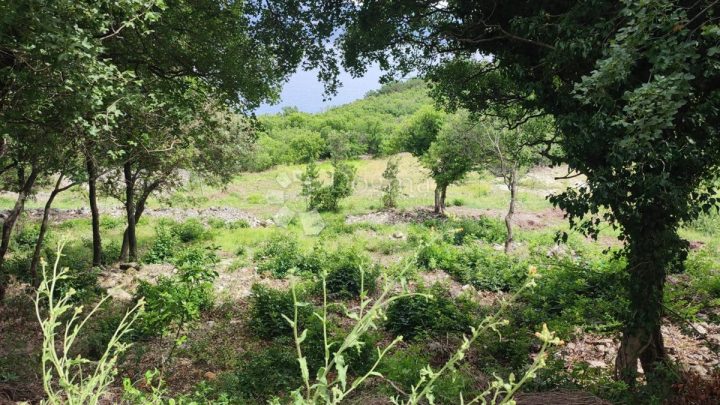 Land For sale - Istarska Kršan - foto 3/3