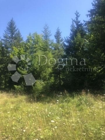 Grundstück Zu verkaufen - Primorsko-goranska čabar - foto 2/2