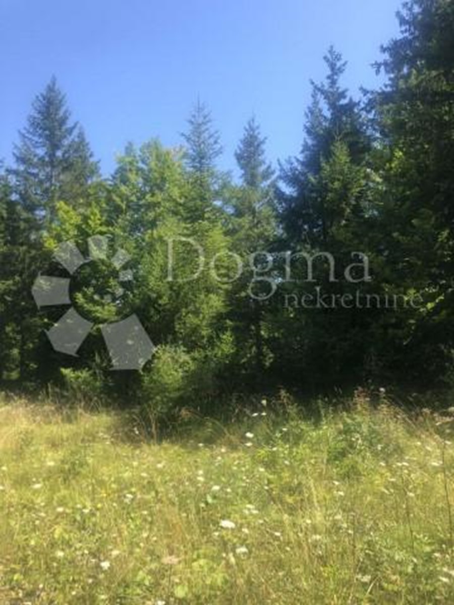 Land For sale - PRIMORSKO-GORANSKA ČABAR