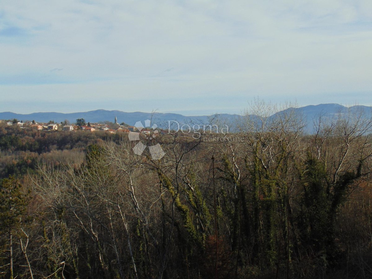 Land For sale - ISTARSKA PAZIN