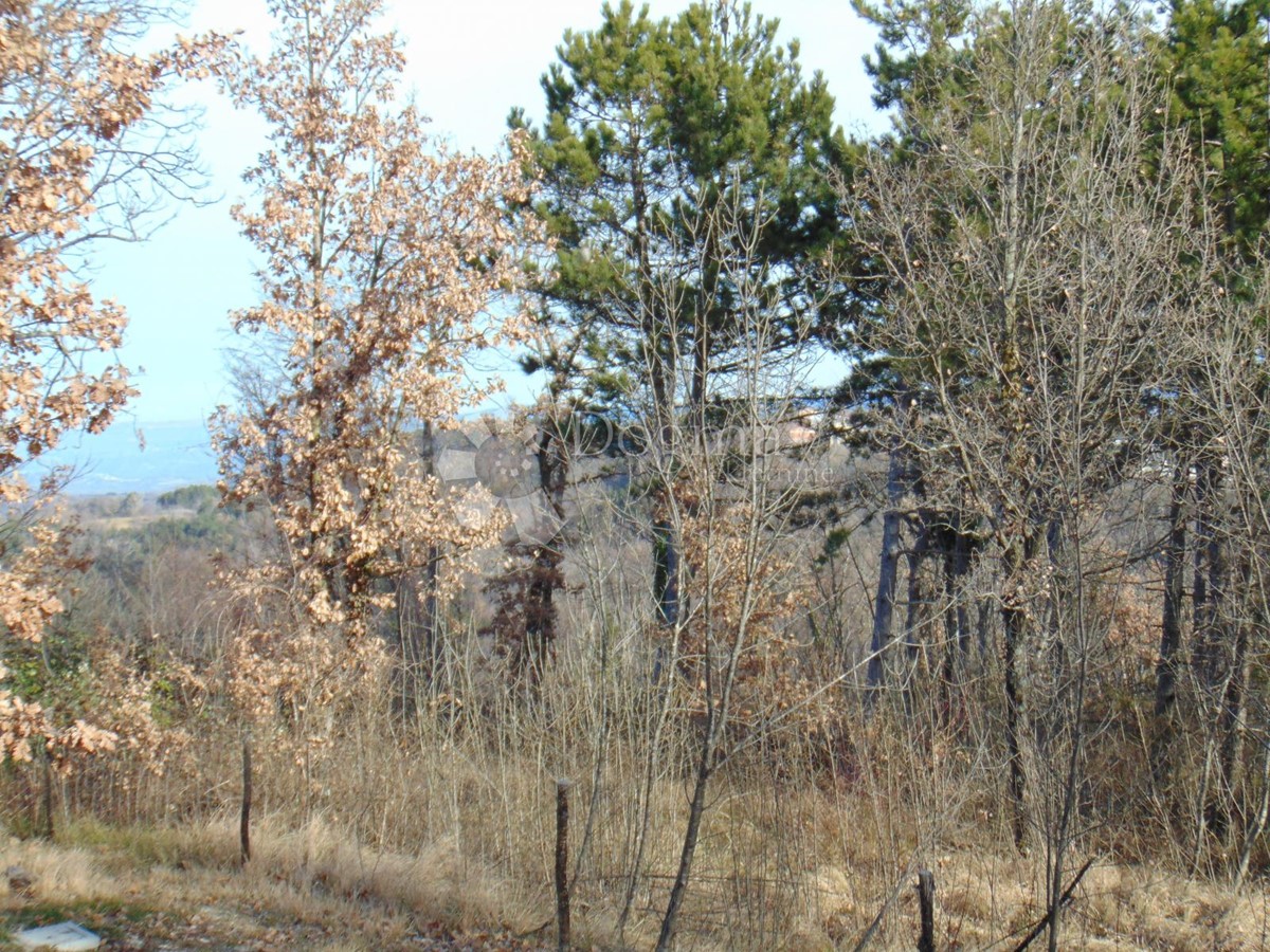 Zemljište Na prodaju - ISTARSKA PAZIN