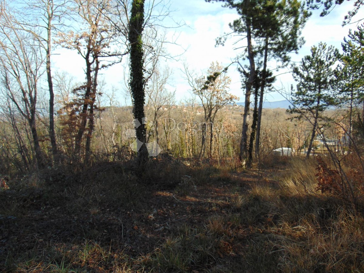 Terreno In vendita - ISTARSKA PAZIN