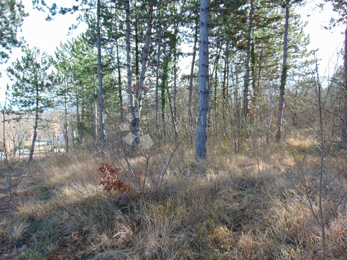 Land For sale - ISTARSKA PAZIN