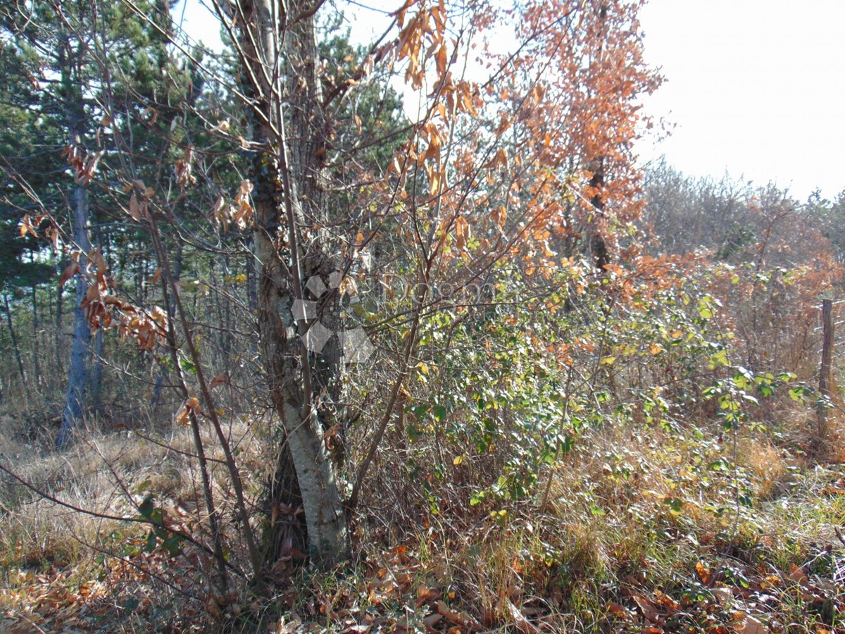 Pozemok Na predaj - ISTARSKA PAZIN