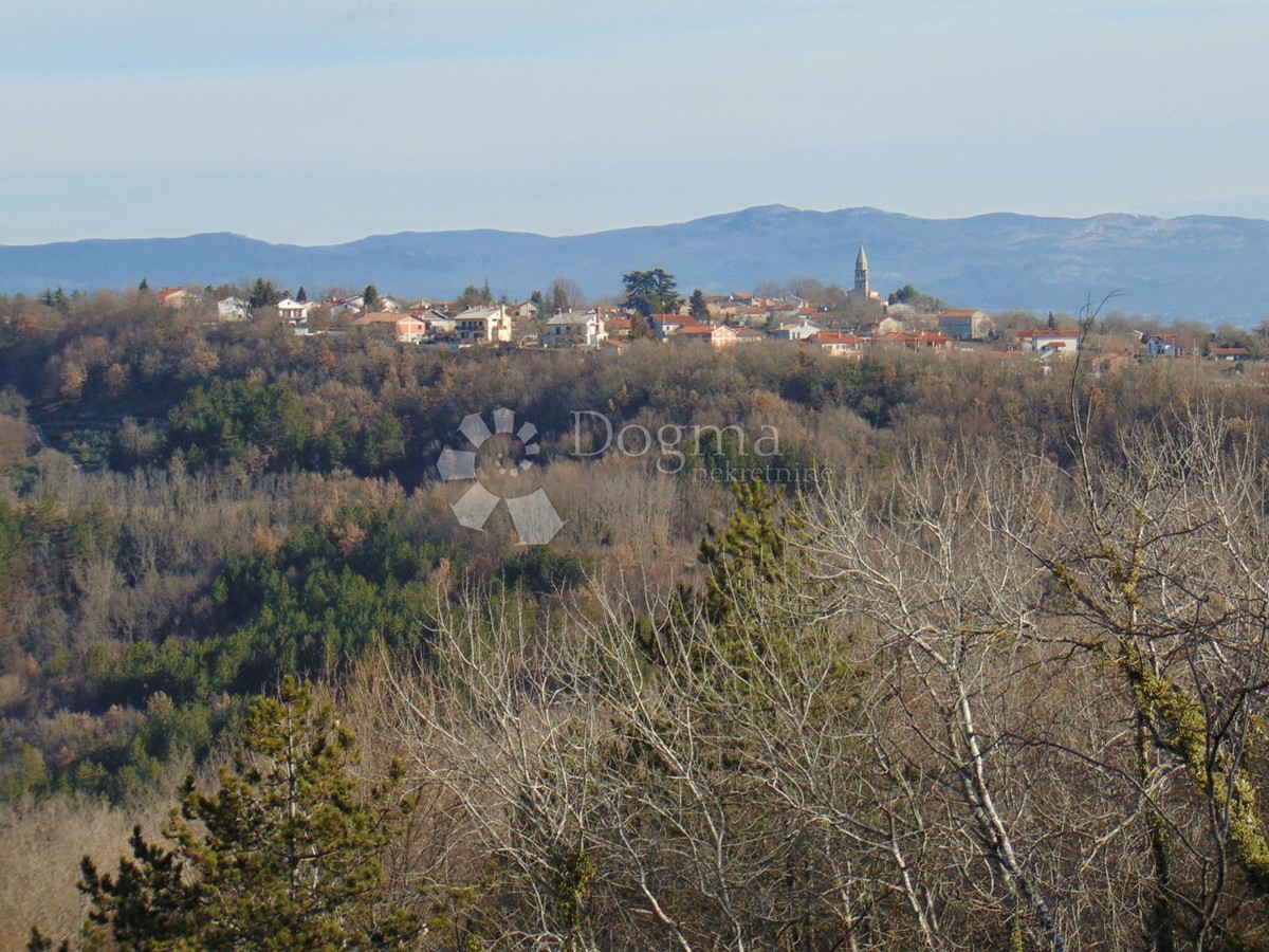 Land For sale - ISTARSKA PAZIN