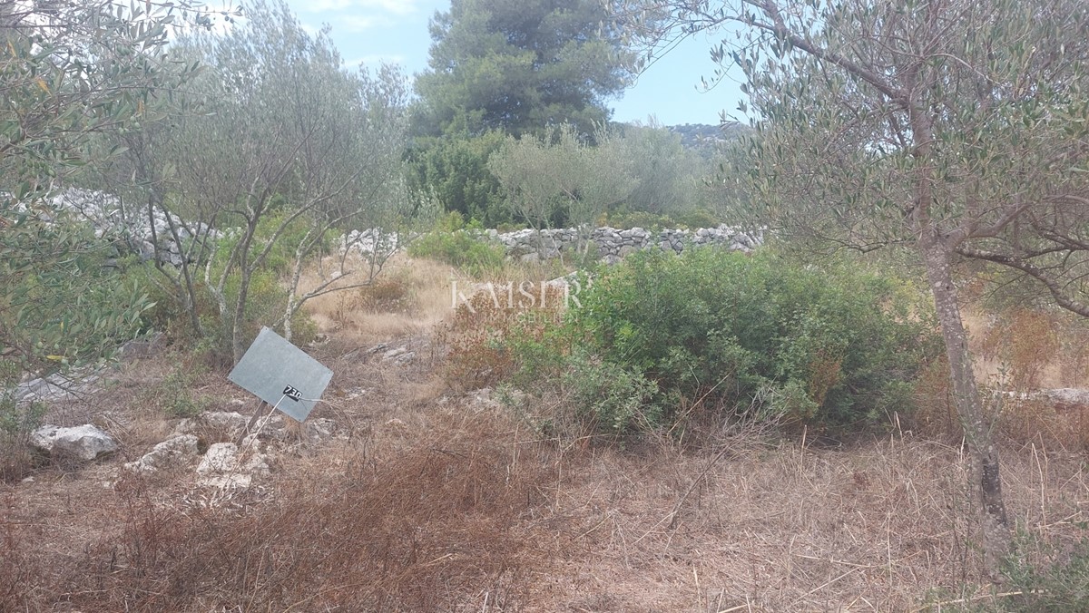 Terreno In vendita - ZADARSKA DUGI OTOK