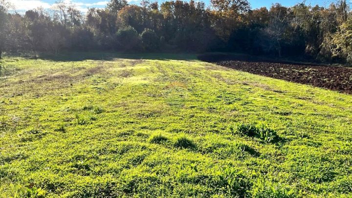 Działka na sprzedaż 773 m² – Čepljani